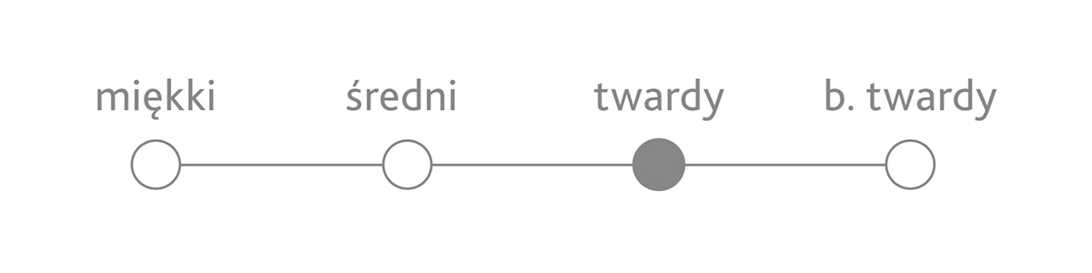 rock roll twardosci